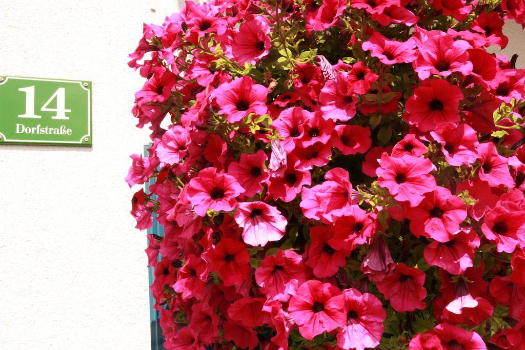 Guest house Das Edelweiss *