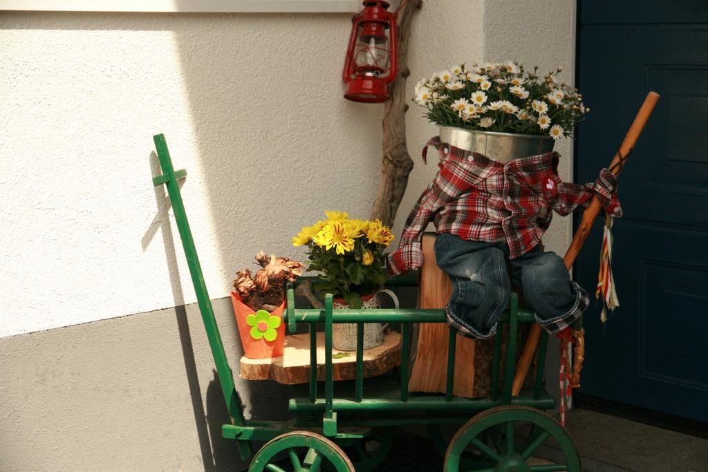 Guest house Das Edelweiss